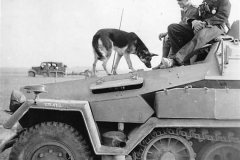 SdKfz_251_half-track_photo