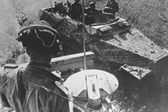 SdKfz_251_net