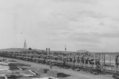 SdKfz_251_rail