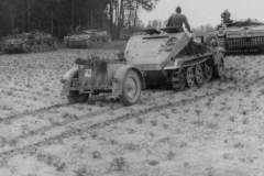 SdKfz_252_Abteilung_243