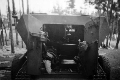 sdkfz_254_rear