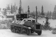 sdkfz_41