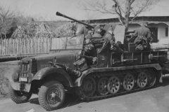 SdKfz_6-2_with_Flak_36