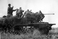 SdKfz_6_Waffen_SS