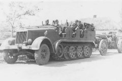 SdKfz_7_Halftrack_and_15cm_artillery