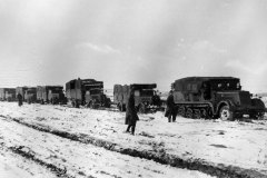 SdKfz_7_and_column_of_trucks_Russia