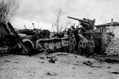 Sdkfz_7_Serbia
