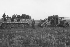 sdkfz_7_and_flak_88_camo