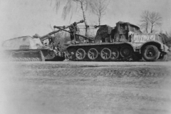 SdKfz_9_1_crane