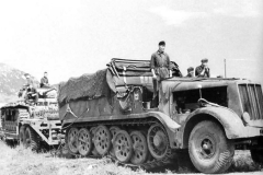 SdKfz_9_tank_transporter_Sd_Ah_116