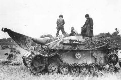 28th_Division_Troops_with_Knocked-Out_German_StuG_III_Ausf_G