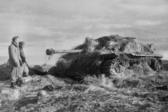 3rd_Armored_captures_StuG_Obergeich_11dec1944