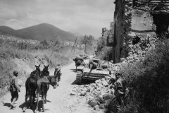 5th_Army_Troops_and_Mules_Pass_German_Stug_40_Assault_Gun_Castelforte_Italy_1944