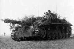 Camouflaged_StuG_40