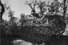 Camouflaged_StuG_G_on_Italian_Front