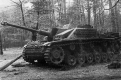 Captured_StuG_40_Tigerhai_East_1944