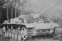 German_assault_gun_StuG_40_1