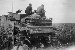 StuG_40_305_Sturmgeschutz-Abteilung_282_1943