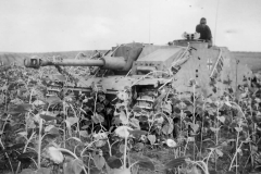 StuG_40_305_Sturmgeschutz-Abteilung_282_1943_2
