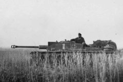 StuG_40_Ausf_F_Sturmgeschutz_Langrohr_Eastern_front_2