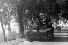 StuG_40_Ausf_G_on_road