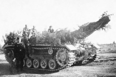StuG_40_F8_GD_Division