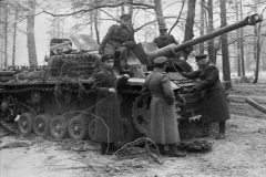 StuG_40_Tigerhai