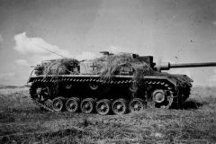 StuG_of_Hermann_Goering_Division