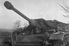 Stug_40_5