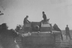 Stug_40_Ausf_F_10