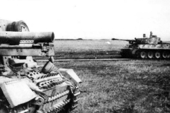 sIG33_and_Tiger_1943