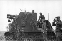 Bison_Eastern_Front_1942
