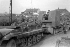 Bison_and_SdKfz_10
