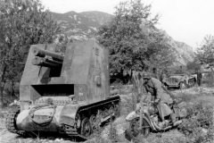 Bison_of_sIG_Kompanie_704_Greece