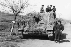 Brummbar_216_abt_italy