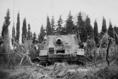 Brummbar_Anzio