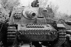 Brummbar_France_44