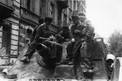 Brummbar_warsaw_44