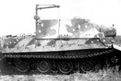 Sturmtiger_during_field_trials