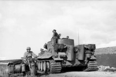 Africa_Korps_Tiger_photo