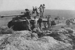 Captured_Tiger_Afrika_Korps