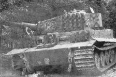 Destroyed_German_Tiger_509_number_113