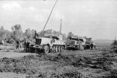Halftracks_and_Tiger