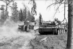 Panzer_VI_Tiger_I_312