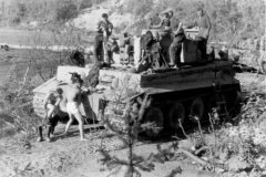 Panzer_VI_Tiger_I_in_Ruhestellung