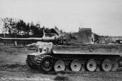 Panzerkampfwagen_Tiger_Ausf._E_Sd.Kfz_._181