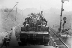 Tiger_10_abt510