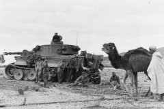 Tiger_111_Schwere_Abteilung_501_in_Tunisia_Afrika_DAK