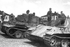 Tiger_132_503_panther