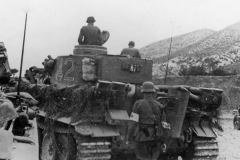 Tiger_142_501_DAK